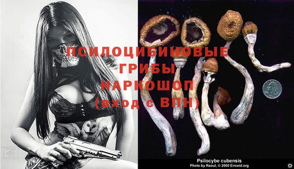 индика Липки