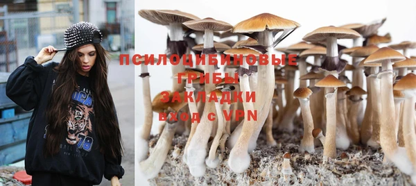 индика Липки