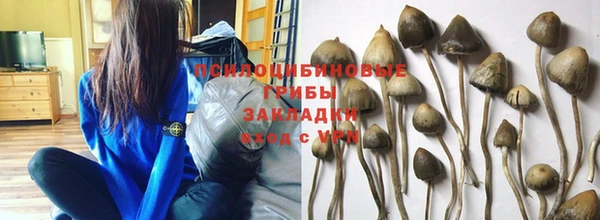 а пвп мука Лиски