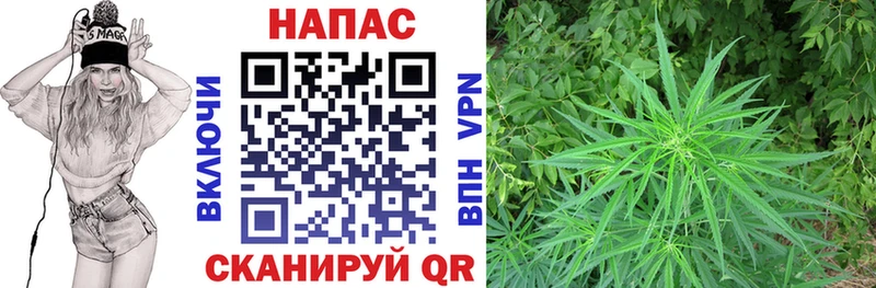 Бошки Шишки Ganja  Лермонтов 